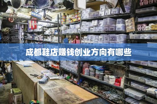 成都鞋店赚钱创业方向有哪些