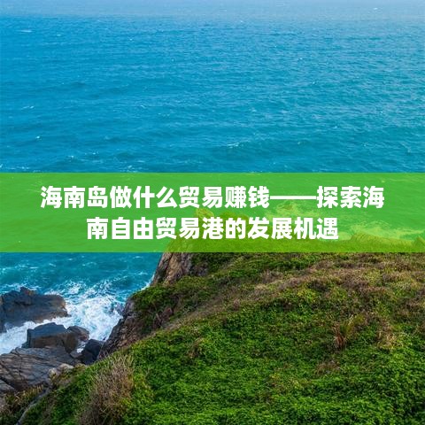 海南岛做什么贸易赚钱——探索海南自由贸易港的发展机遇