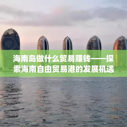 海南岛做什么贸易赚钱——探索海南自由贸易港的发展机遇