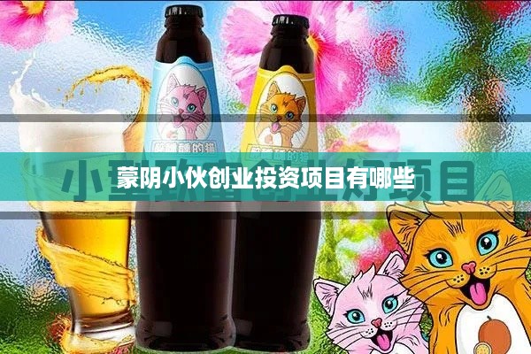 蒙阴小伙创业投资项目有哪些