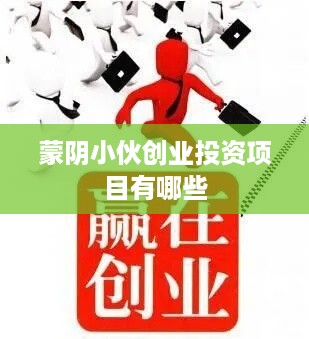 蒙阴小伙创业投资项目有哪些