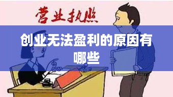 创业无法盈利的原因有哪些