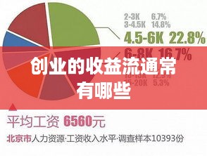 创业的收益流通常有哪些