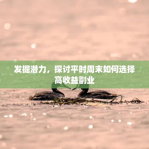 发掘潜力，探讨平时周末如何选择高收益副业