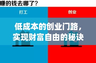 低成本的创业门路，实现财富自由的秘诀