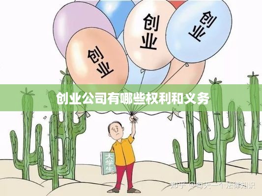  创业公司有哪些权利和义务