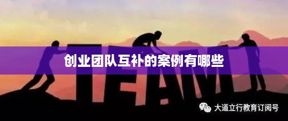 创业团队互补的案例有哪些