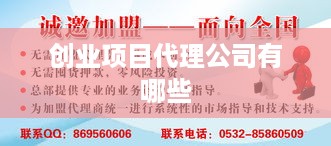 创业项目代理公司有哪些