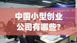 中国小型创业公司有哪些？