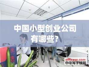 中国小型创业公司有哪些？