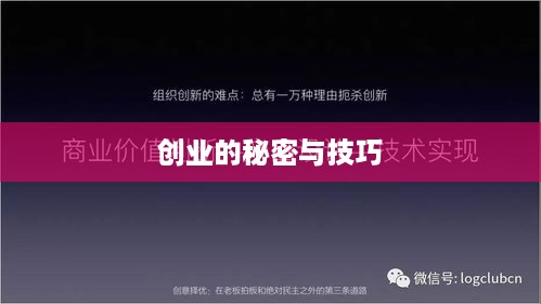 创业的秘密与技巧