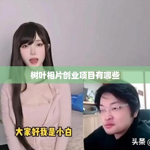 树叶相片创业项目有哪些