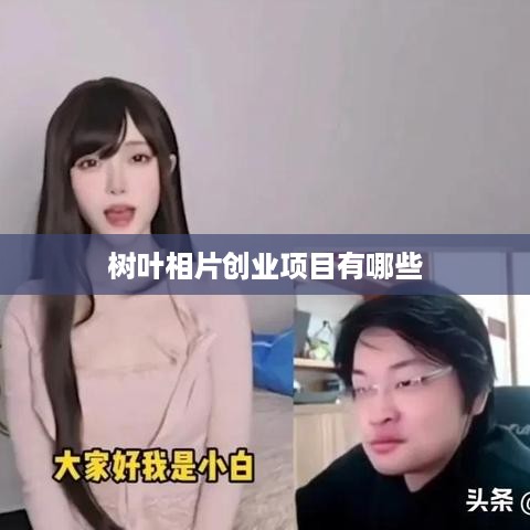 树叶相片创业项目有哪些