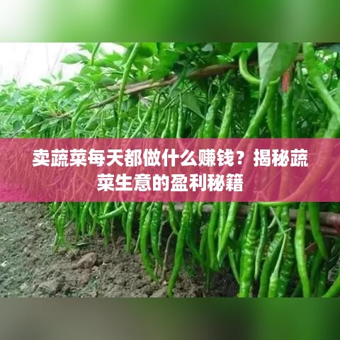 卖蔬菜每天都做什么赚钱？揭秘蔬菜生意的盈利秘籍