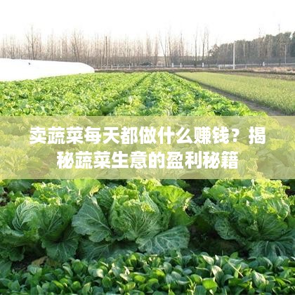 卖蔬菜每天都做什么赚钱？揭秘蔬菜生意的盈利秘籍