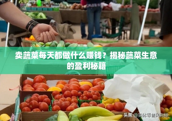 卖蔬菜每天都做什么赚钱？揭秘蔬菜生意的盈利秘籍