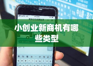 小创业新商机有哪些类型