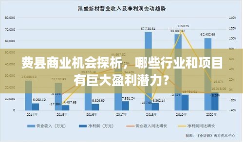 费县商业机会探析，哪些行业和项目有巨大盈利潜力？