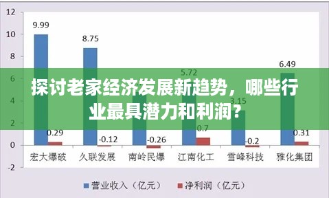 探讨老家经济发展新趋势，哪些行业最具潜力和利润？