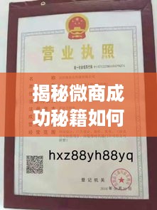 揭秘微商成功秘籍如何选择合适的产品和策略，让你轻松赚钱