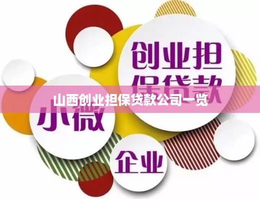 山西创业担保贷款公司一览