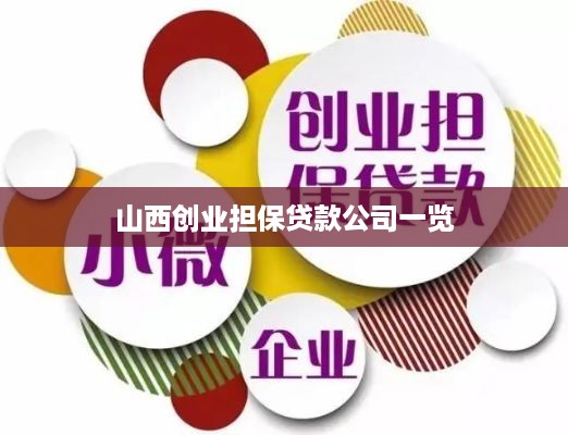 山西创业担保贷款公司一览