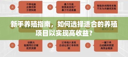 新手养殖指南，如何选择适合的养殖项目以实现高收益？