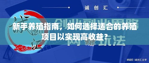 新手养殖指南，如何选择适合的养殖项目以实现高收益？