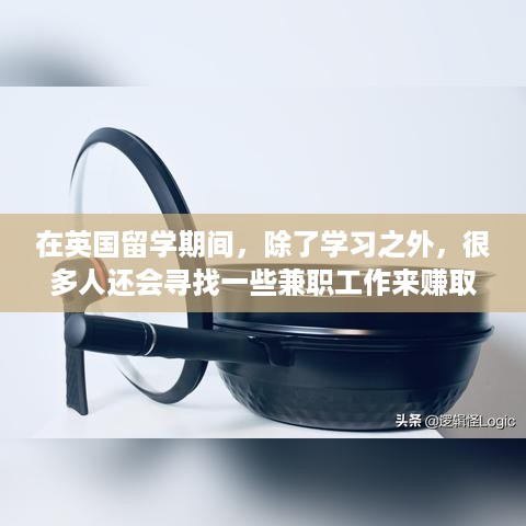 在英国留学期间，除了学习之外，很多人还会寻找一些兼职工作来赚取生活费。做饭是一个很好的选择，因为它既能满足自己的口味，又能赚钱。那么，在英国留学期间，做什么饭可以赚钱呢？本文将为您提供一些建议。