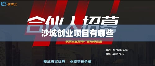 沙城创业项目有哪些