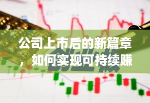 公司上市后的新篇章，如何实现可持续赚钱增长？