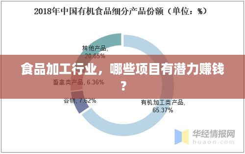 食品加工行业，哪些项目有潜力赚钱？