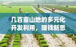 几百亩山地的多元化开发利用，赚钱新思路与实践