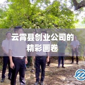 云霄县创业公司的精彩画卷