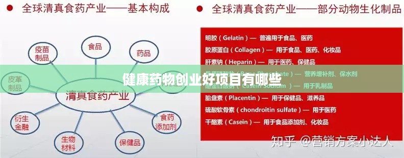 健康药物创业好项目有哪些