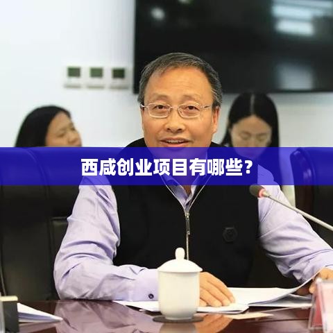 西咸创业项目有哪些？