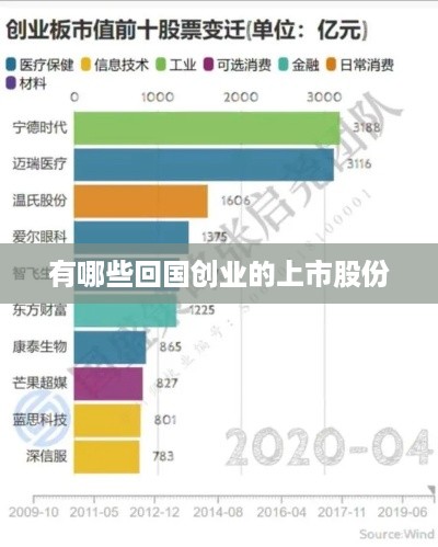 有哪些回国创业的上市股份