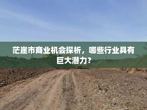 茫崖市商业机会探析，哪些行业具有巨大潜力？