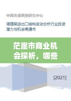 茫崖市商业机会探析，哪些行业具有巨大潜力？