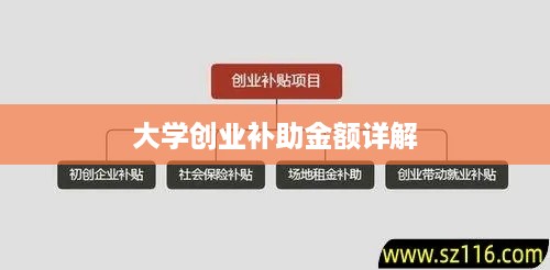 大学创业补助金额详解