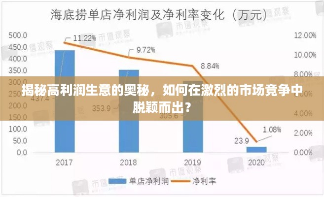 揭秘高利润生意的奥秘，如何在激烈的市场竞争中脱颖而出？