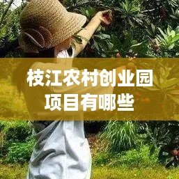 枝江农村创业园项目有哪些