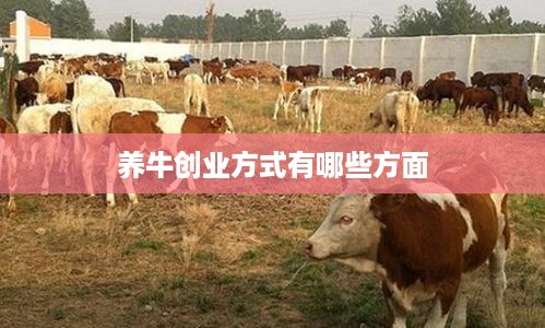 养牛创业方式有哪些方面