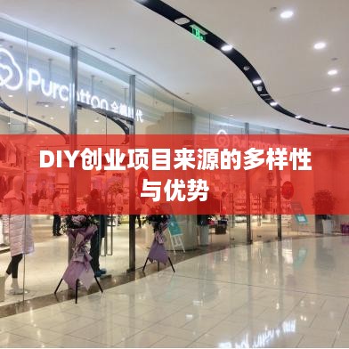 DIY创业项目来源的多样性与优势