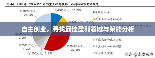 自主创业，寻找最佳盈利领域与策略分析