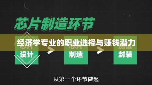 经济学专业的职业选择与赚钱潜力