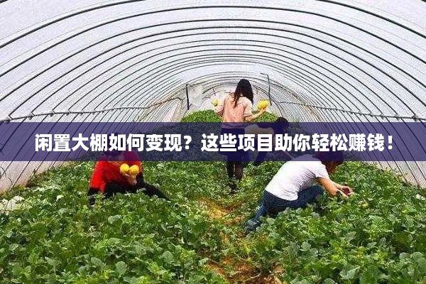 闲置大棚如何变现？这些项目助你轻松赚钱！