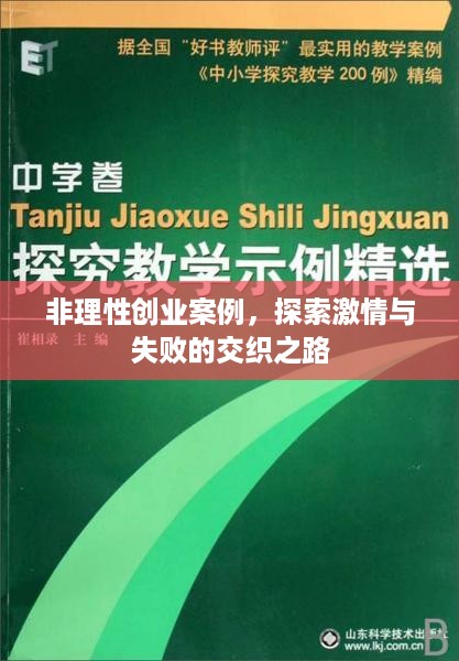 非理性创业案例，探索激情与失败的交织之路