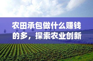 农田承包做什么赚钱的多，探索农业创新与多元化经营之路