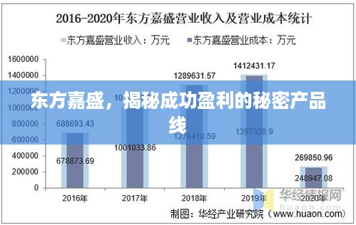 东方嘉盛，揭秘成功盈利的秘密产品线